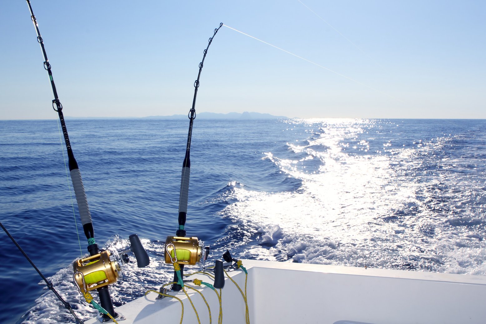 Boat with Fishing Rods